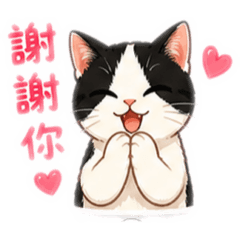 貓咪小語