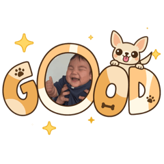 mao_20260504125059