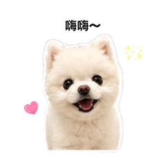 湯圓小狗><
