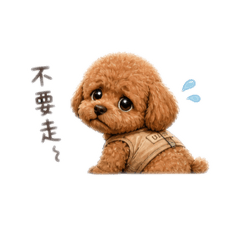 迪迪｜超可愛情緒日常