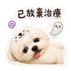 波妞海豹頭現實篇