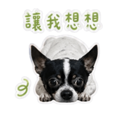 黃家全員已讀亂回
