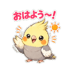 Cockatiel Daily 1
