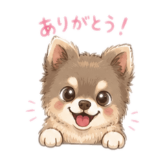NAOKI_20260514204059