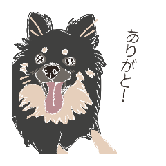 mametanuki_20260514204731