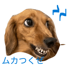 sorasuke_20260514204652