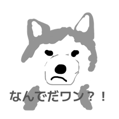 usagi_20260514204405
