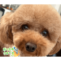 taiki_20260514204842