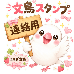 Cute White Java Sparrow Message Sticker