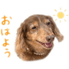 hanako's smile