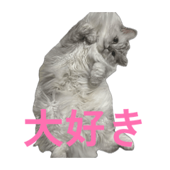 Gum_20260514205356