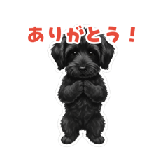D.Hato_20260514205342