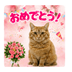 "Celebratory Orange Tabby