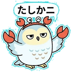 Snowy Owl: Punny Snowy Jokes