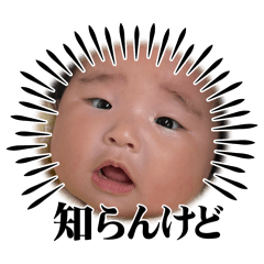 murakami_20260514211419