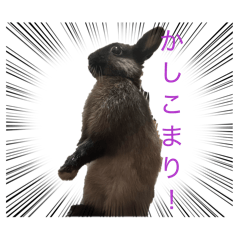 kuriusabu