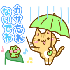 Necoco31 Rainy season and early summer