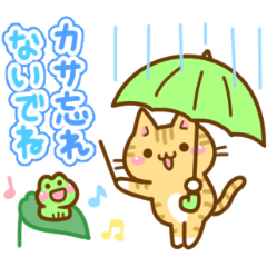ねここさん31 梅雨と初夏