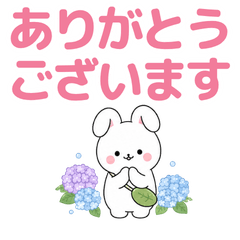 Bunny Polite Words for Work & Family