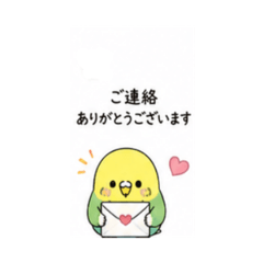 teru_20260514212514