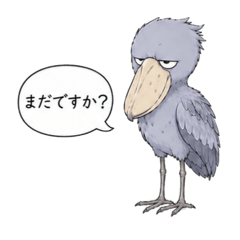 Shoebill Time Stands Still