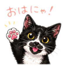 matsumoto_20260514174421