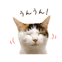 hinoai_20260514175722