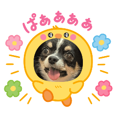 Oshino_20260514212941