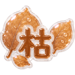 sealchan_20260514213808