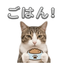 kotetu_20260514213955