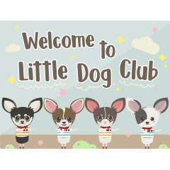 Little Dog Club (Chihuahua)