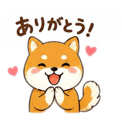kenchan murata_20260514181113