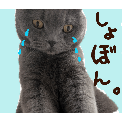 kumazou stickers 4