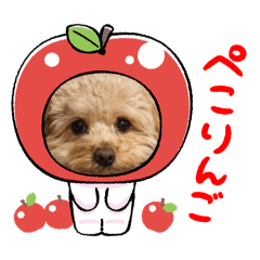 coco_20260514211923