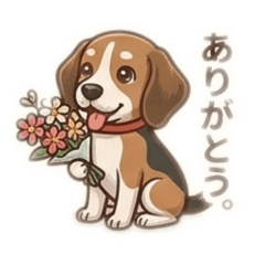 Cute Beagle dog Kote Autumn