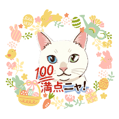 koukiMama_20260514215215
