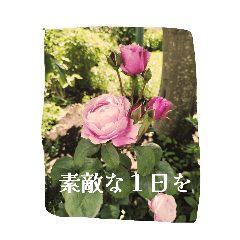 xo0ai0ox_20260514220007