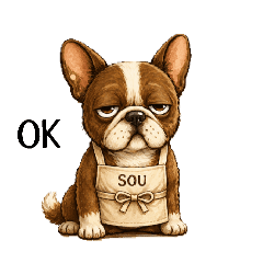 SOU_20260514215930