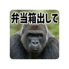 kuronekochan_20260514215838