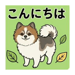 tetei_20260514221757