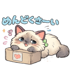 RaguPaPa_20260514222620