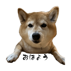 Hana_20260514222304