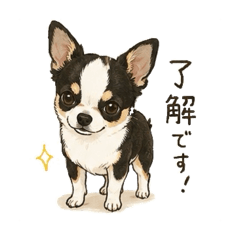konbu_20260514222321