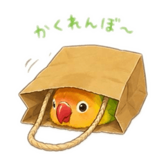cocochan_20260514222457