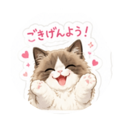 momoko_20260514214434