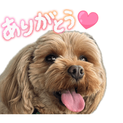 kawaiilanachan