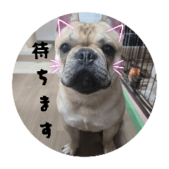 Hiori_20260514222403