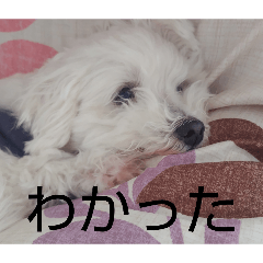 milk:stamp