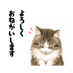 Fluffy Cat Daily Stickers..