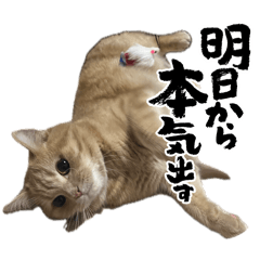mugi.goma.kibi_20260514222237